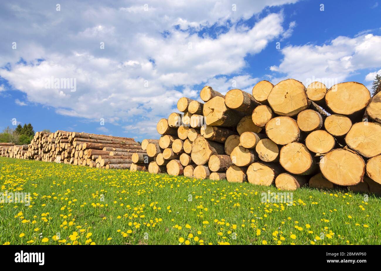 Renewable raw materials hires stock photography and images Alamy