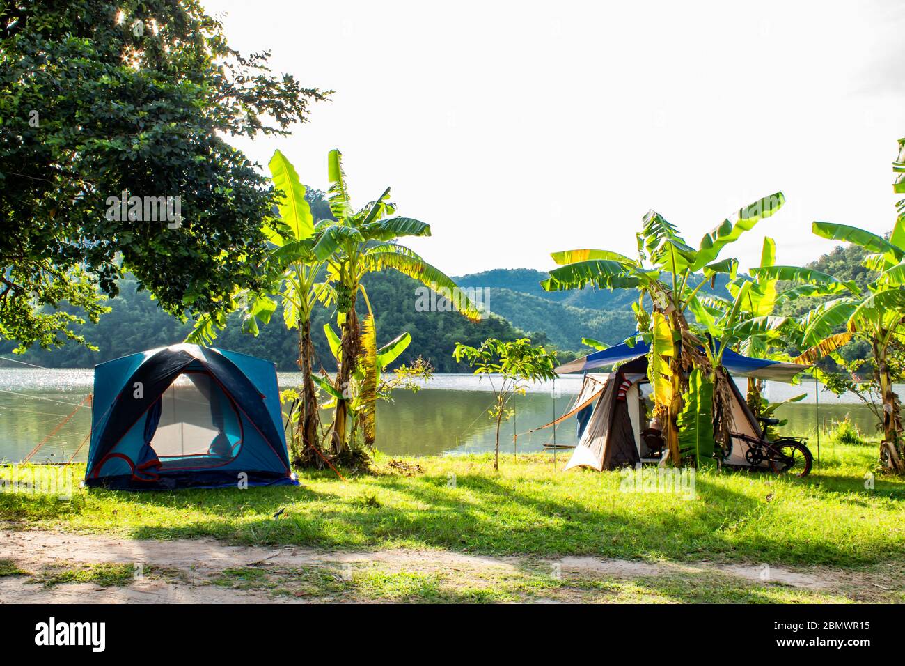 Field Tent and banana trees ,The background of mountains and water Stock  Photo - Alamy