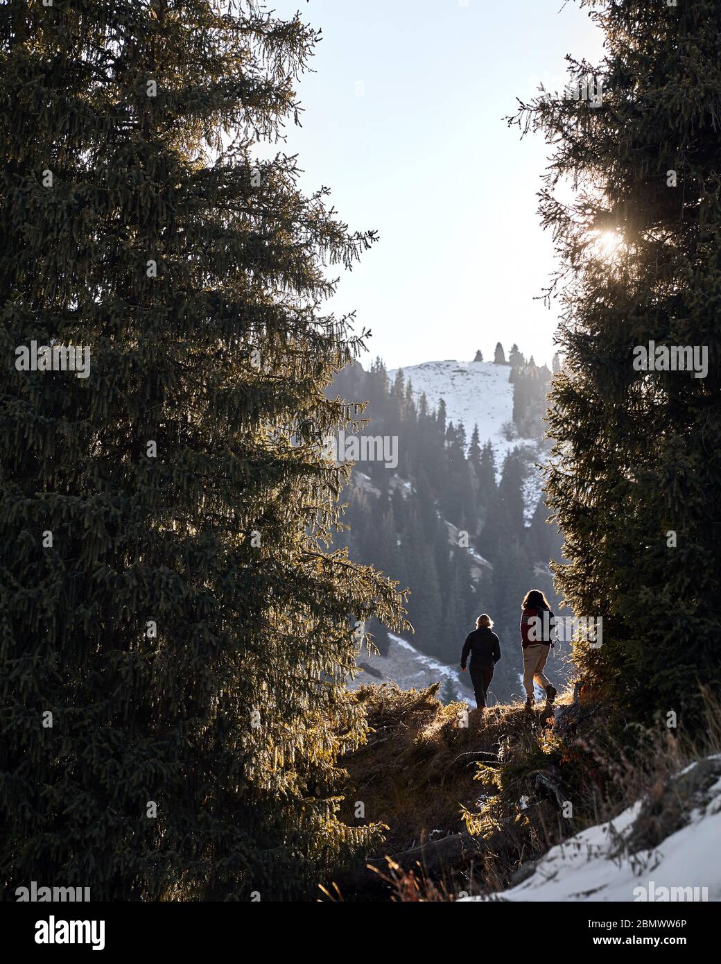 Tourist couple with backpack walking on the snow mountain forest at sunrise Stock Photo