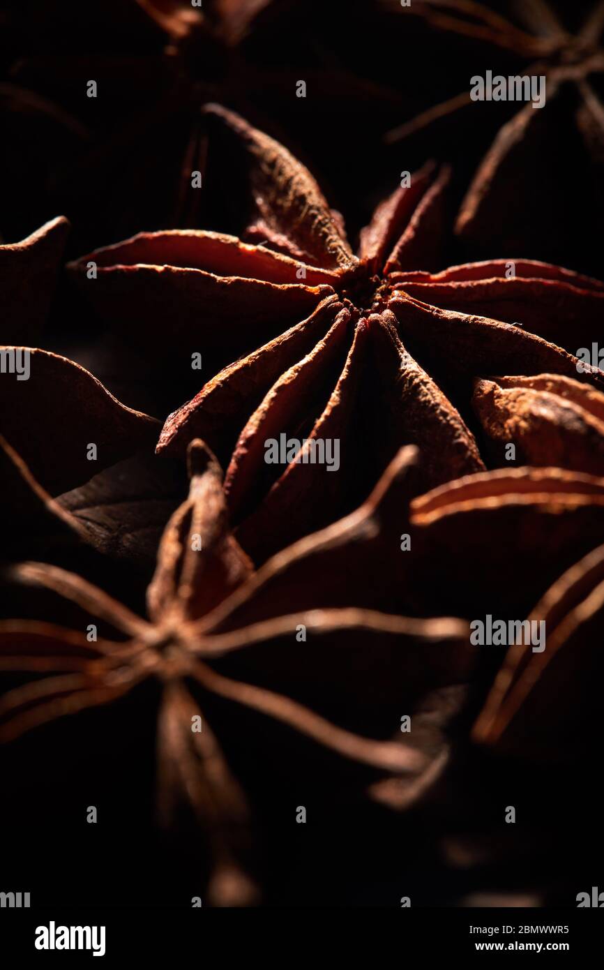 Macro shot of Badyan star anise spice at the market in India Stock Photo