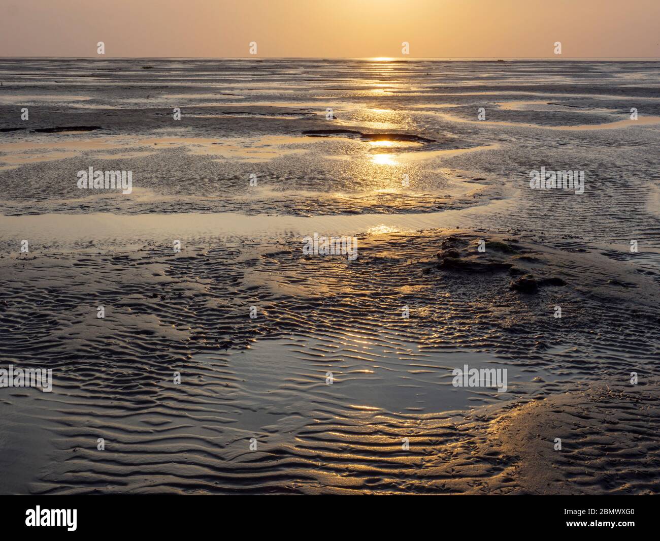 Watt Sonnenuntergang Westerheversand Nationalpark Wattenmeer Unesco Weltnaturerbe Schleswig Holstein Deutschland Stock Photo Alamy