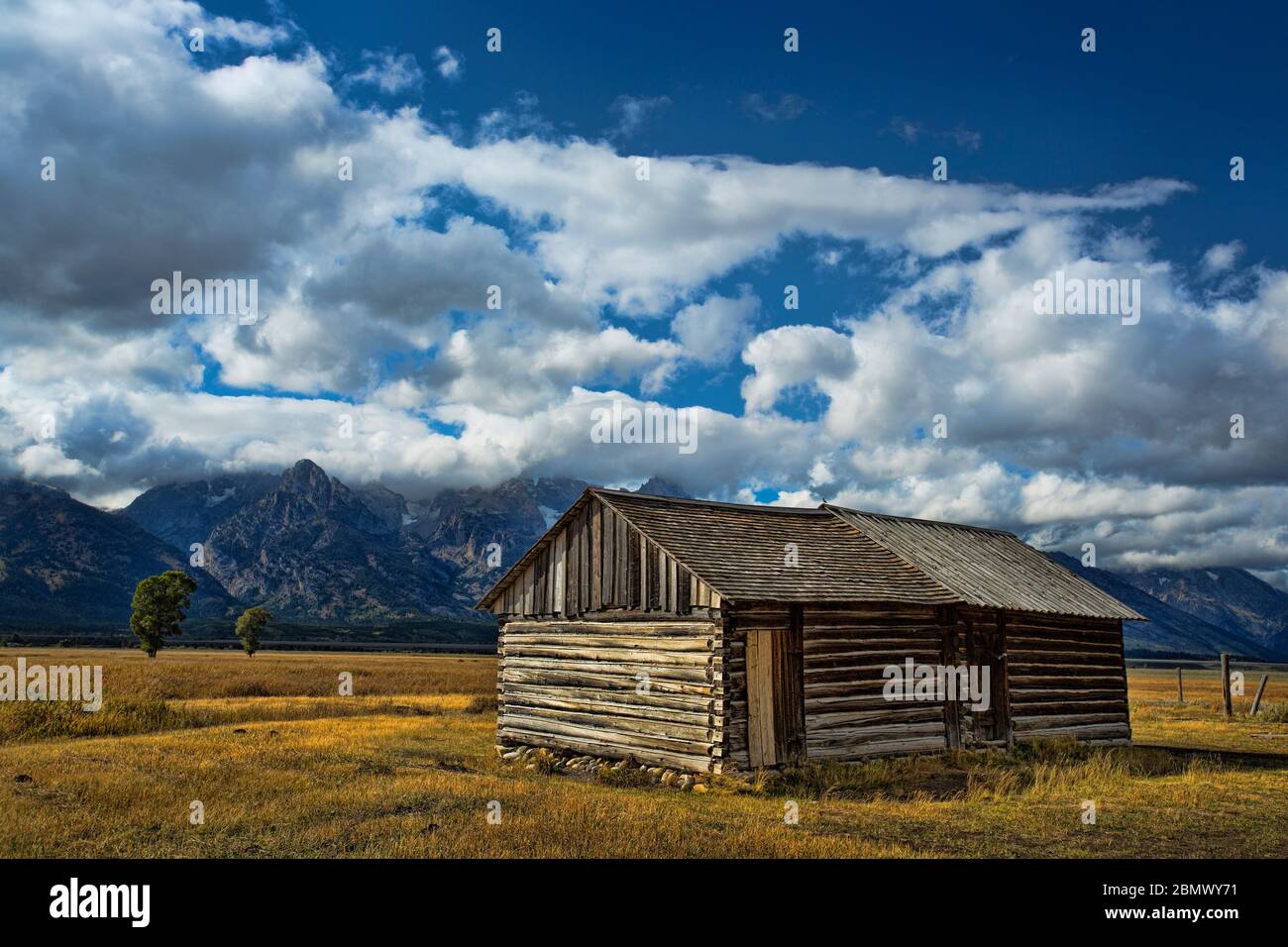 Mormon Roe, grand Teton national park, Wyoming, USA Stock Photo