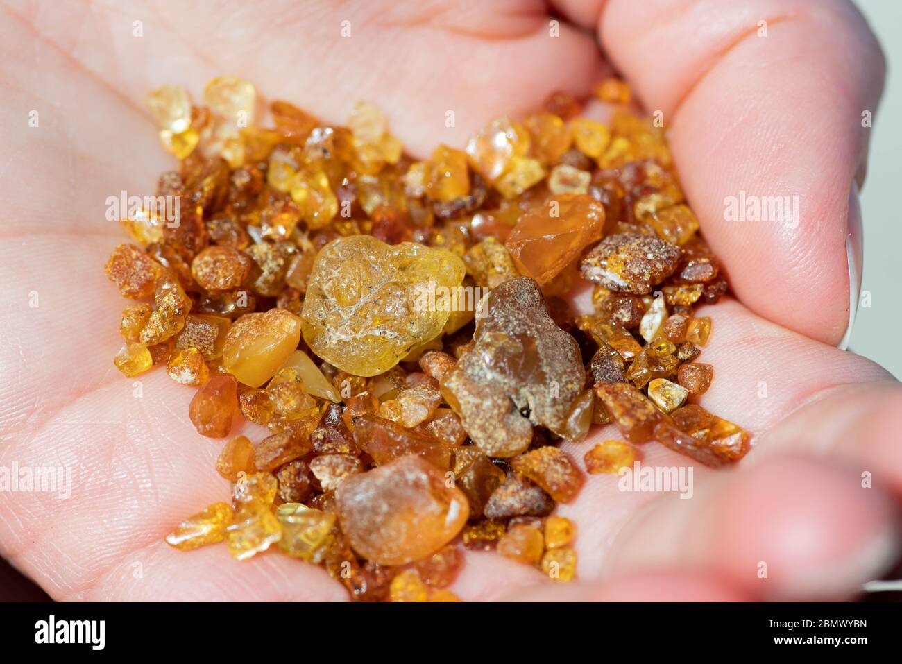 Beautiful pieces of amber in the hand of a girl with water on the sand background Stock Photo