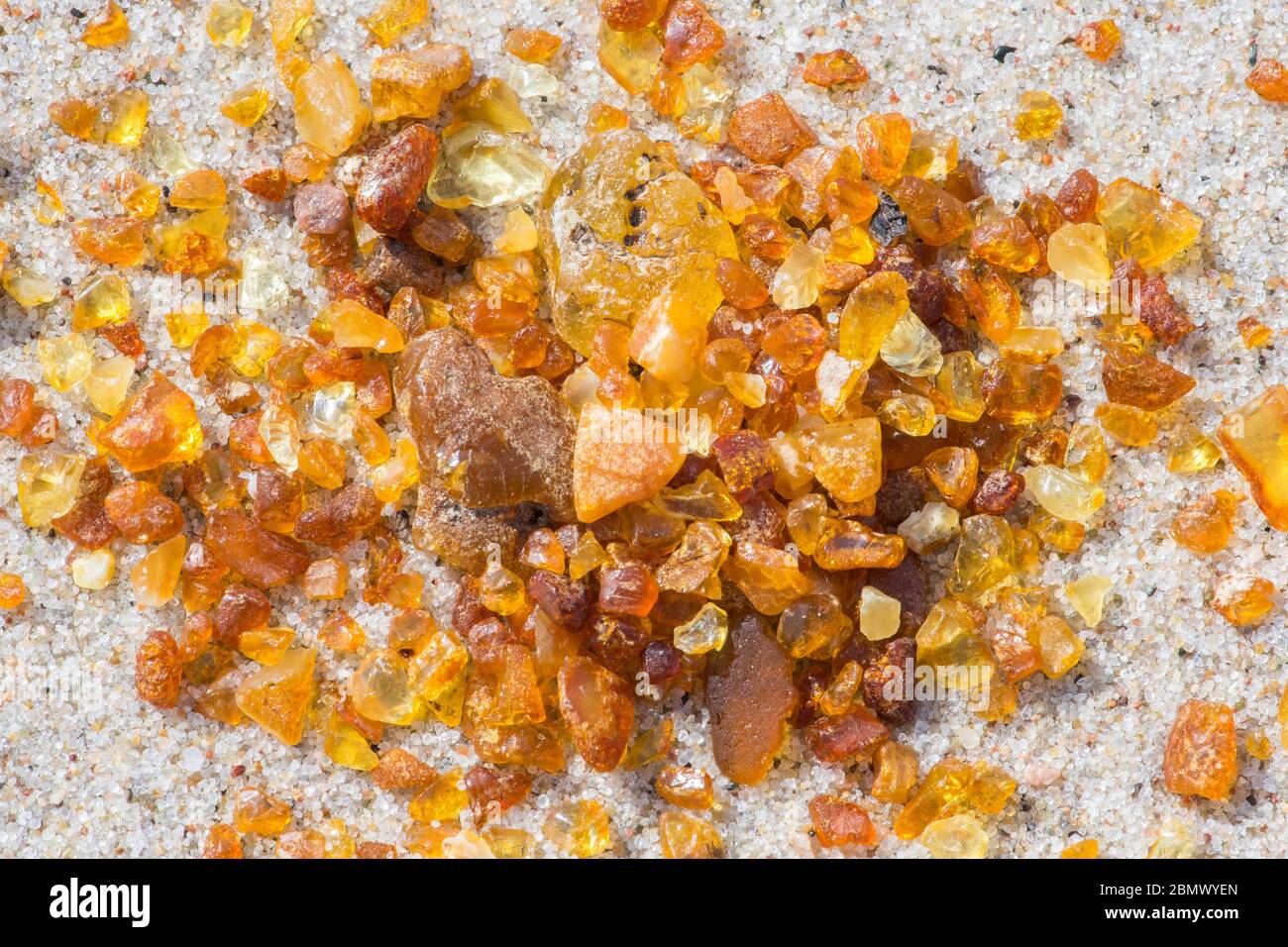 Beautiful pieces of amber on the sandy beach, amber background Stock Photo