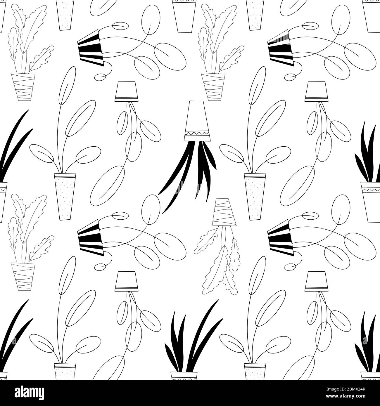 Seamless pattern of home plants in Doodle style monochrome vector ...