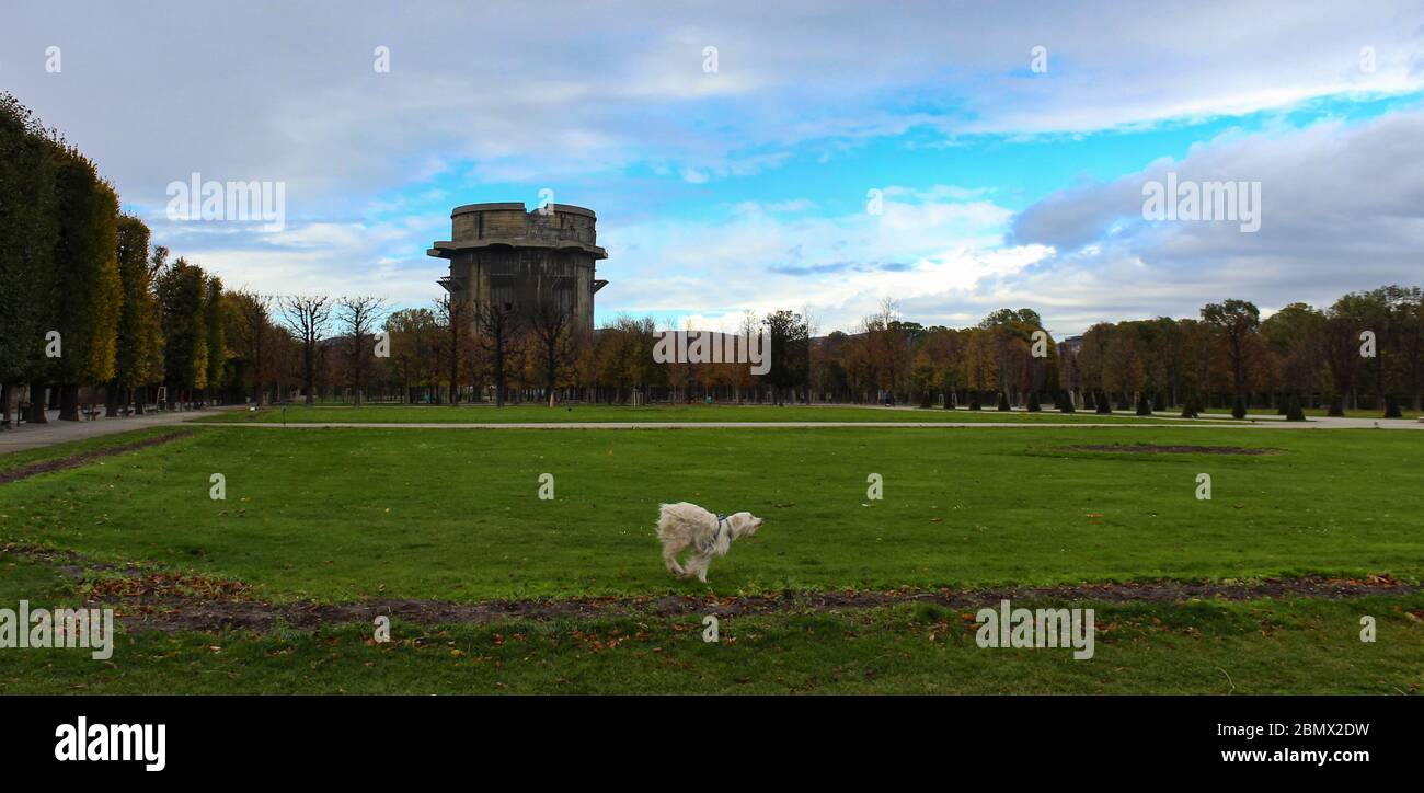 Vienna Augarten park, and white funny dog. Stock Photo