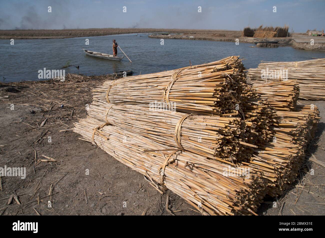 bundles of dried reeds for use in the building of Mudhifs in the marshes of Southern Iraq, by the Marsh Arabs Stock Photo