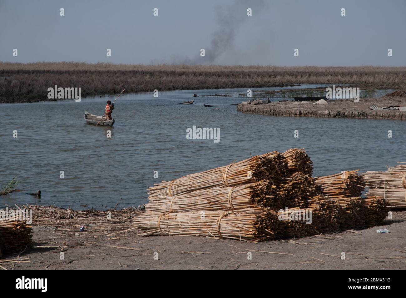 bundles of dried reeds for use in the building of Mudhifs in the marshes of Southern Iraq, by the Marsh Arabs Stock Photo
