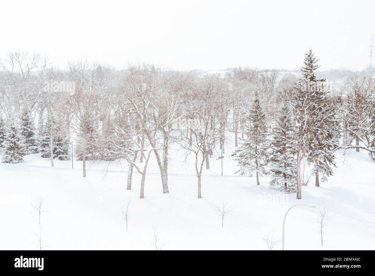 Fargo north dakota winter hires stock photography and images Alamy