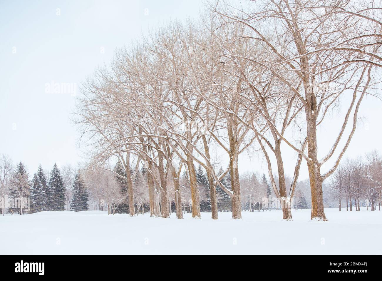 Island Park in Fargo USA Stock Photo Alamy