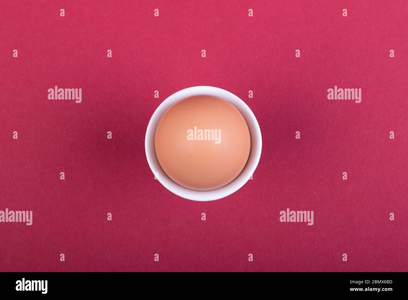 one brown egg in white egg cup before red background, close-up Stock Photo