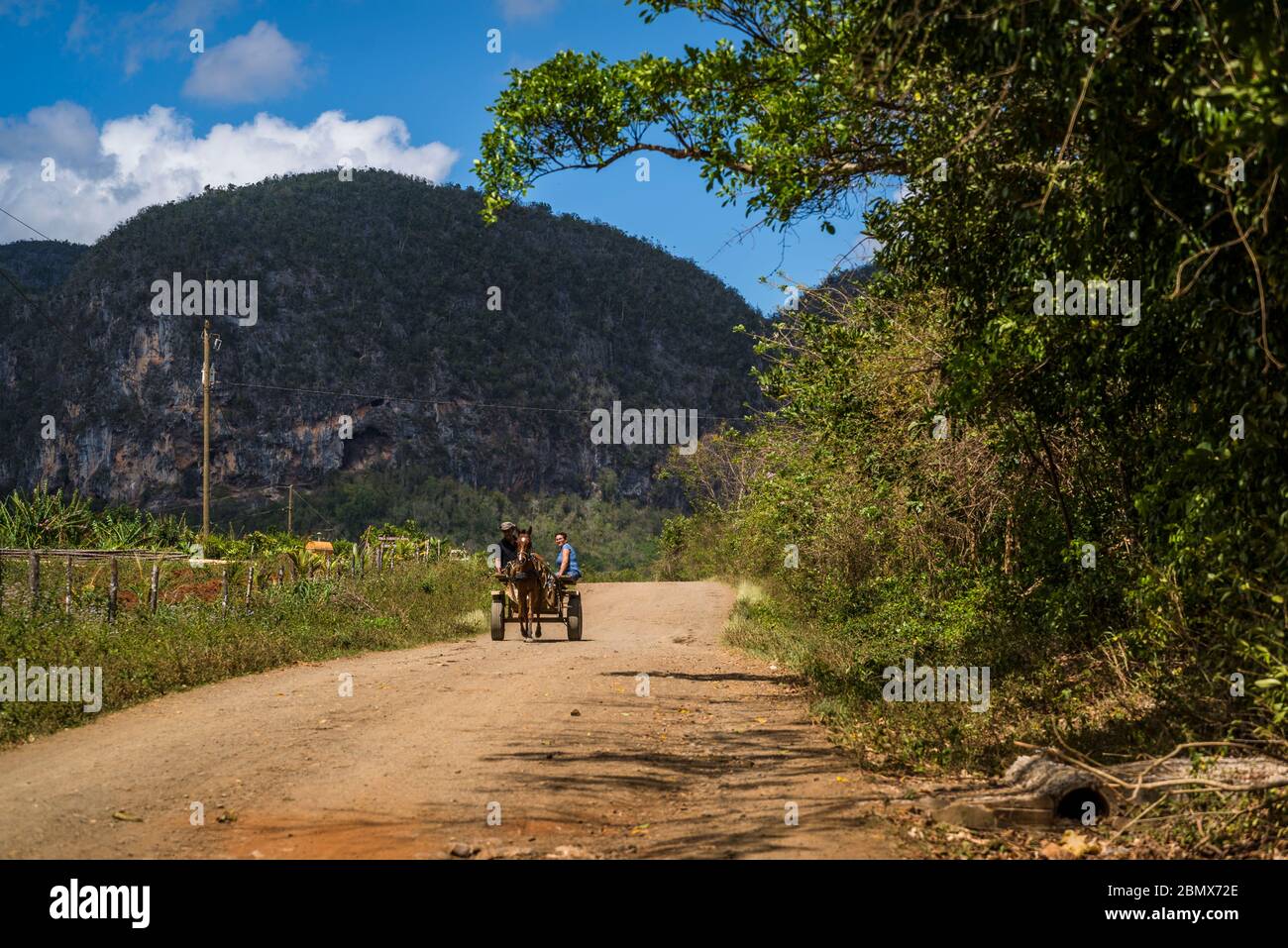 Horse Driven Cart High Resolution Stock Photography and Images Alamy