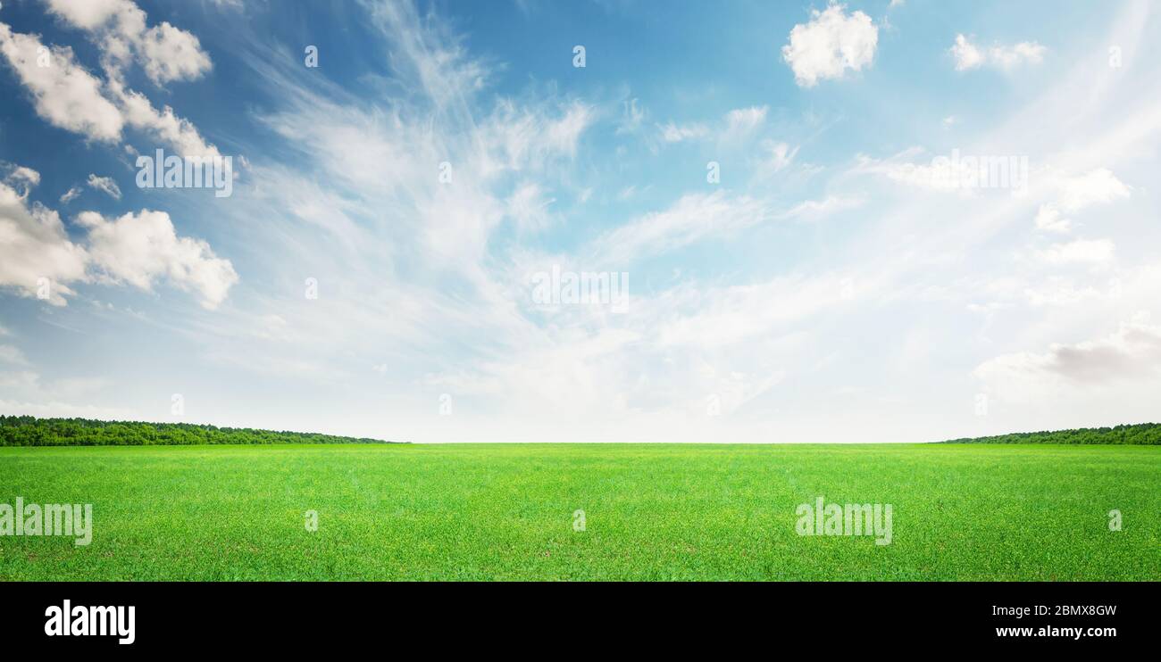 Green grass field and blue sky summer landscape background Stock Photo ...