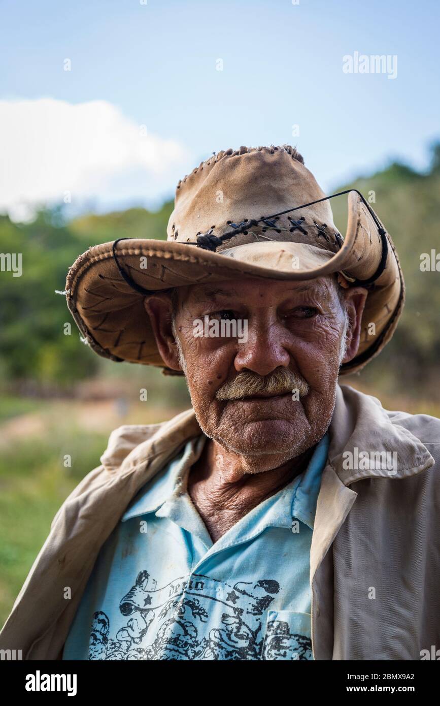 Old farmer, Vinales Valley, Cuba Stock Photo
