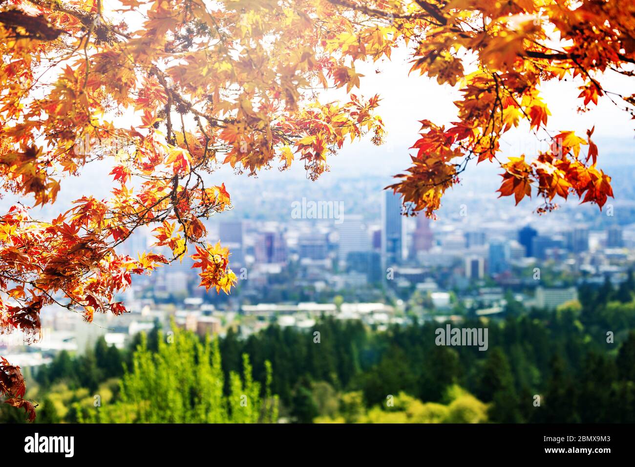 Autumn leaves branch and blurred Panorama of Portland from Pittock Mansion hill, Oregon, USA Stock Photo