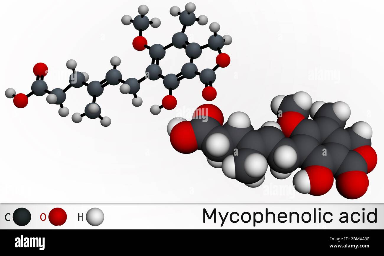 Mycophenolic acid, MPA, mycophenolate, C17H20O6 molecule. It is an immunosuppresant drug and potent anti-proliferative. Molecular model. 3D rendering Stock Photo