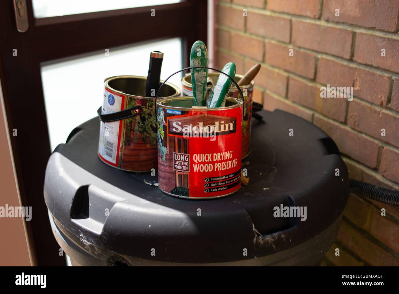 Various empty paint tins left after lockdown DIY with brushes still in. Stock Photo