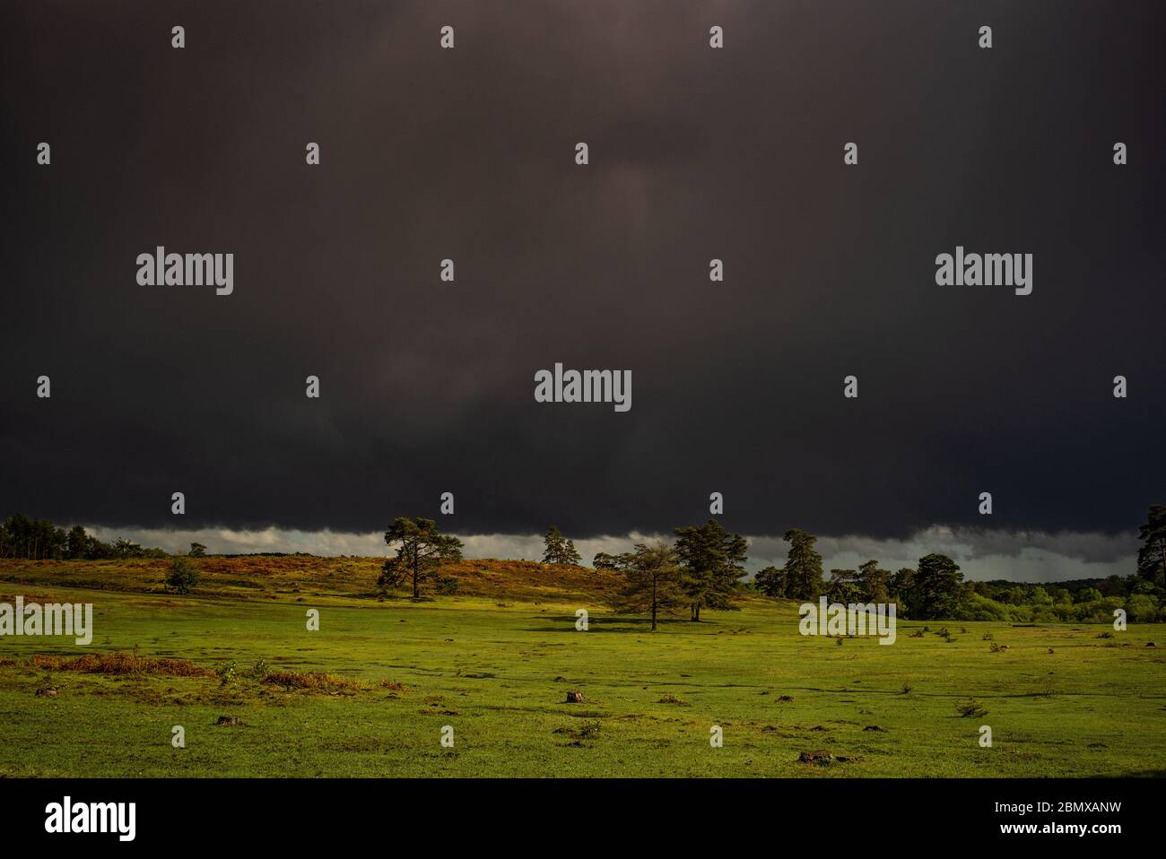 UK weather,  very dark thunder storm clouds approach over the New Forest heathland England causing a spectacular contrast of dark and light. Stock Photo