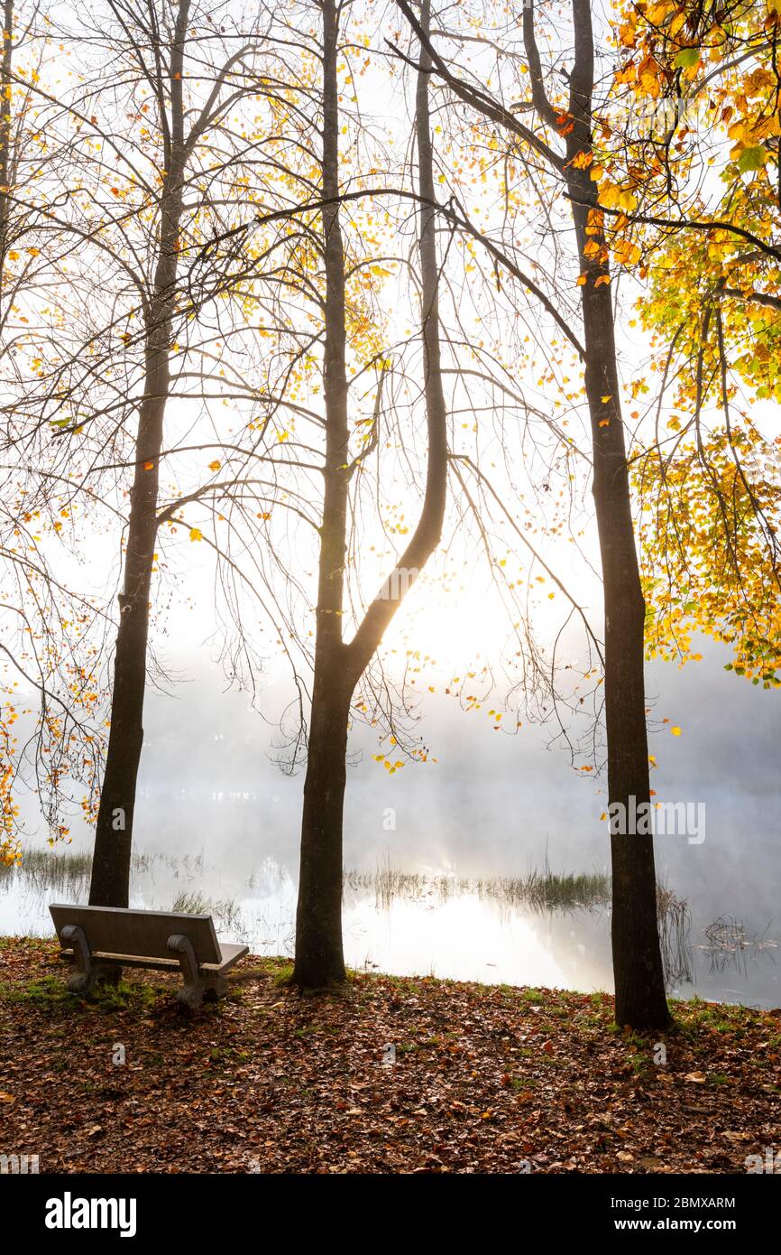 Autumn colored trees next to the lake Stock Photo - Alamy