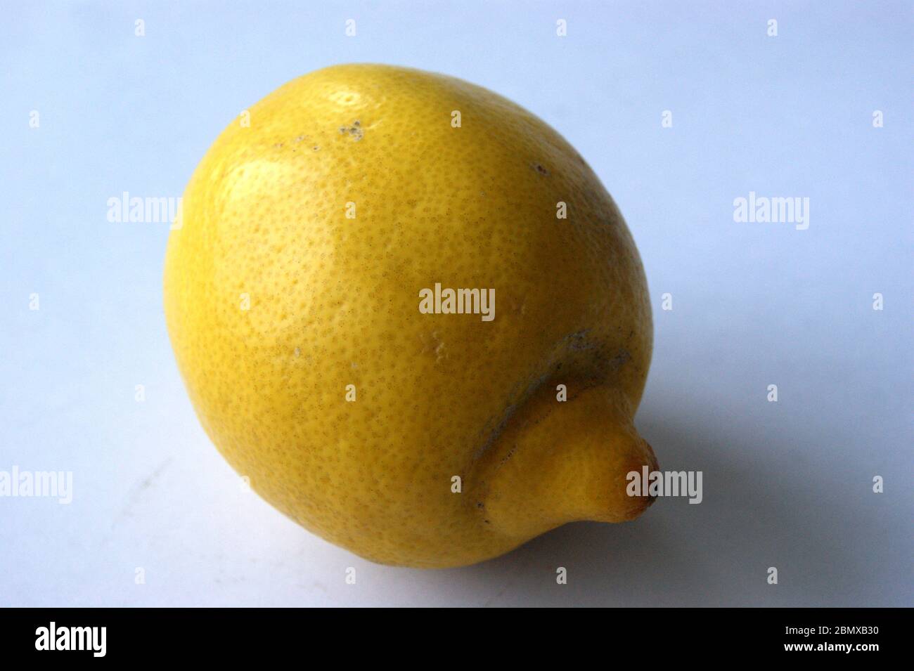 Zitrone Stock Photo
