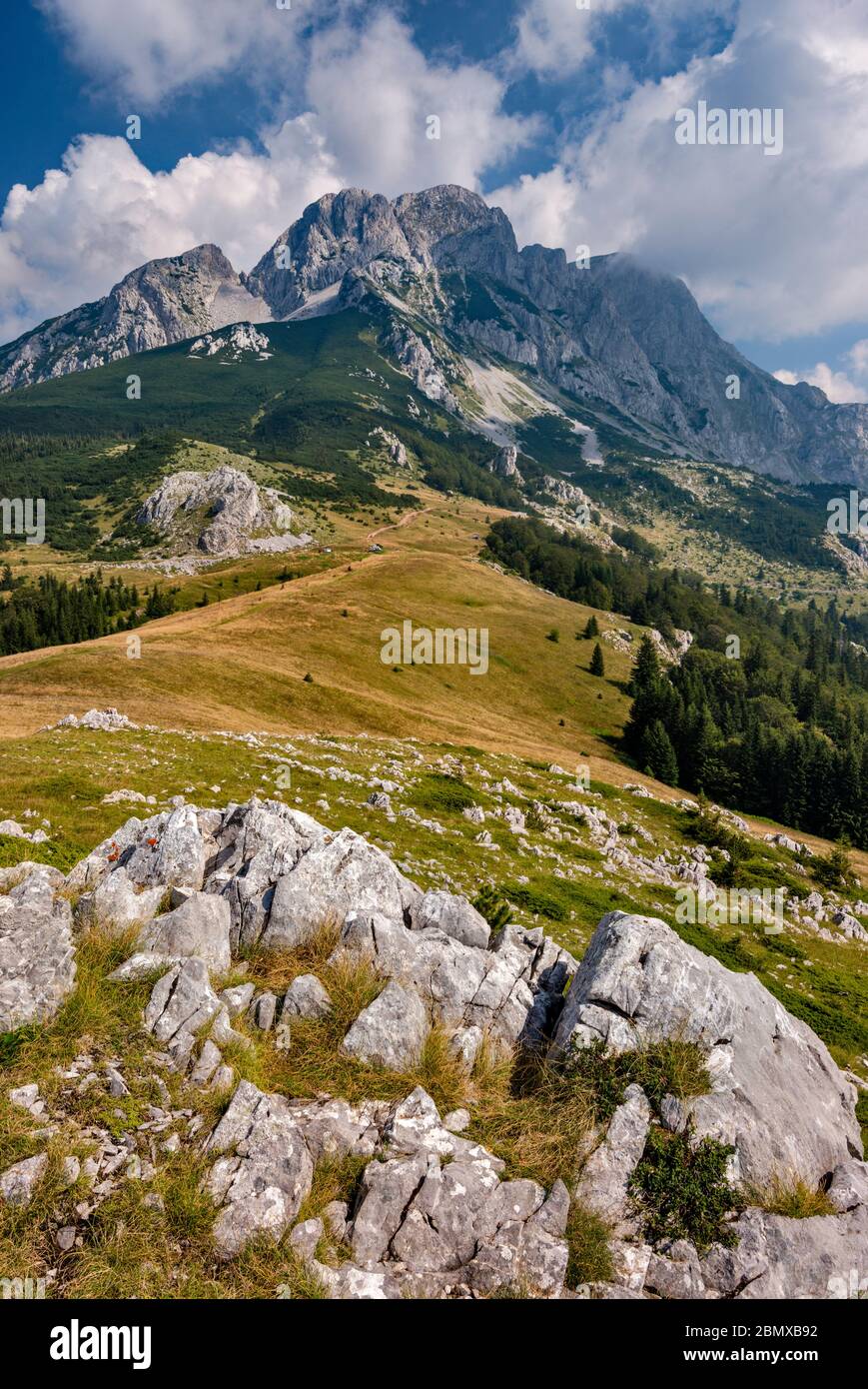 Maglic massif, Prijevor area, Sutjeska National Park, Dinaric Alps 