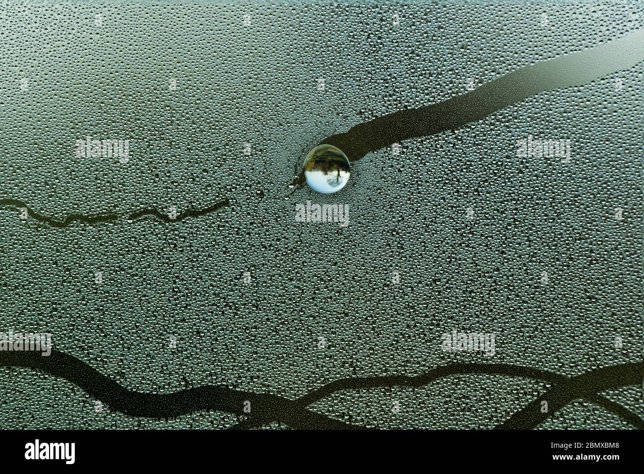 Water droplet in condensation Stock Photo