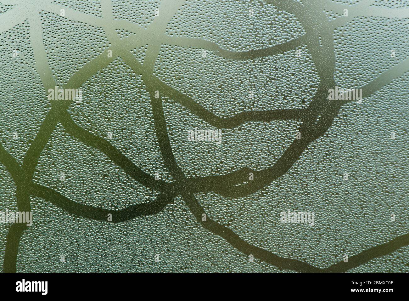 Patterns in window condensation made by a small mite Stock Photo