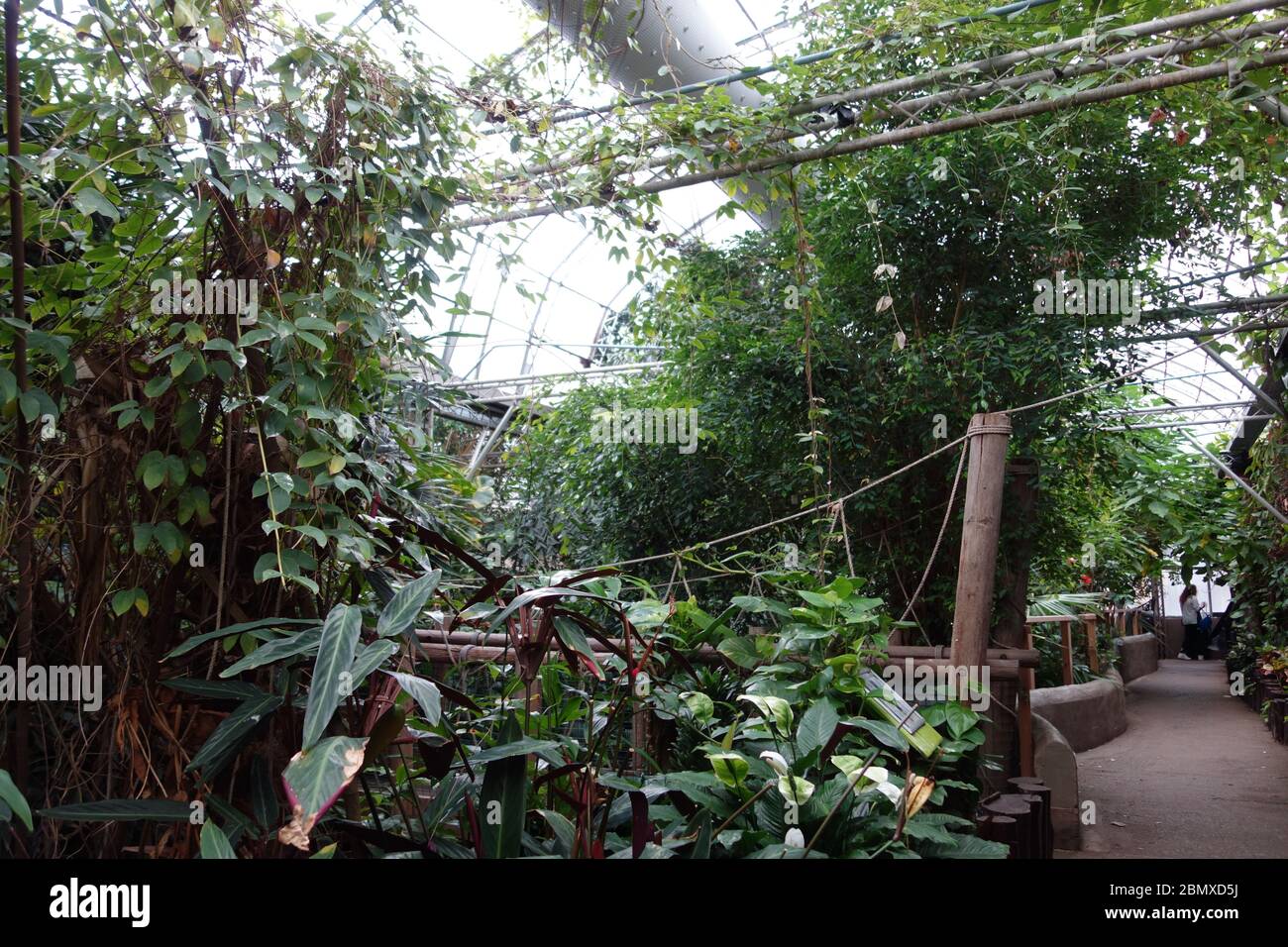 Tropical world leeds zoo hires stock photography and images Alamy