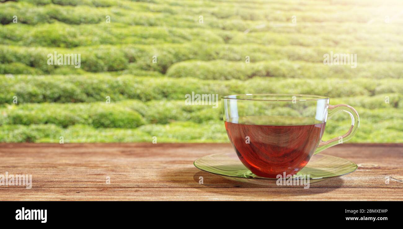 3D illustration of a cup of tea on a brown wooden table with natural green tea field background. Textured Wallpaper Stock Photo