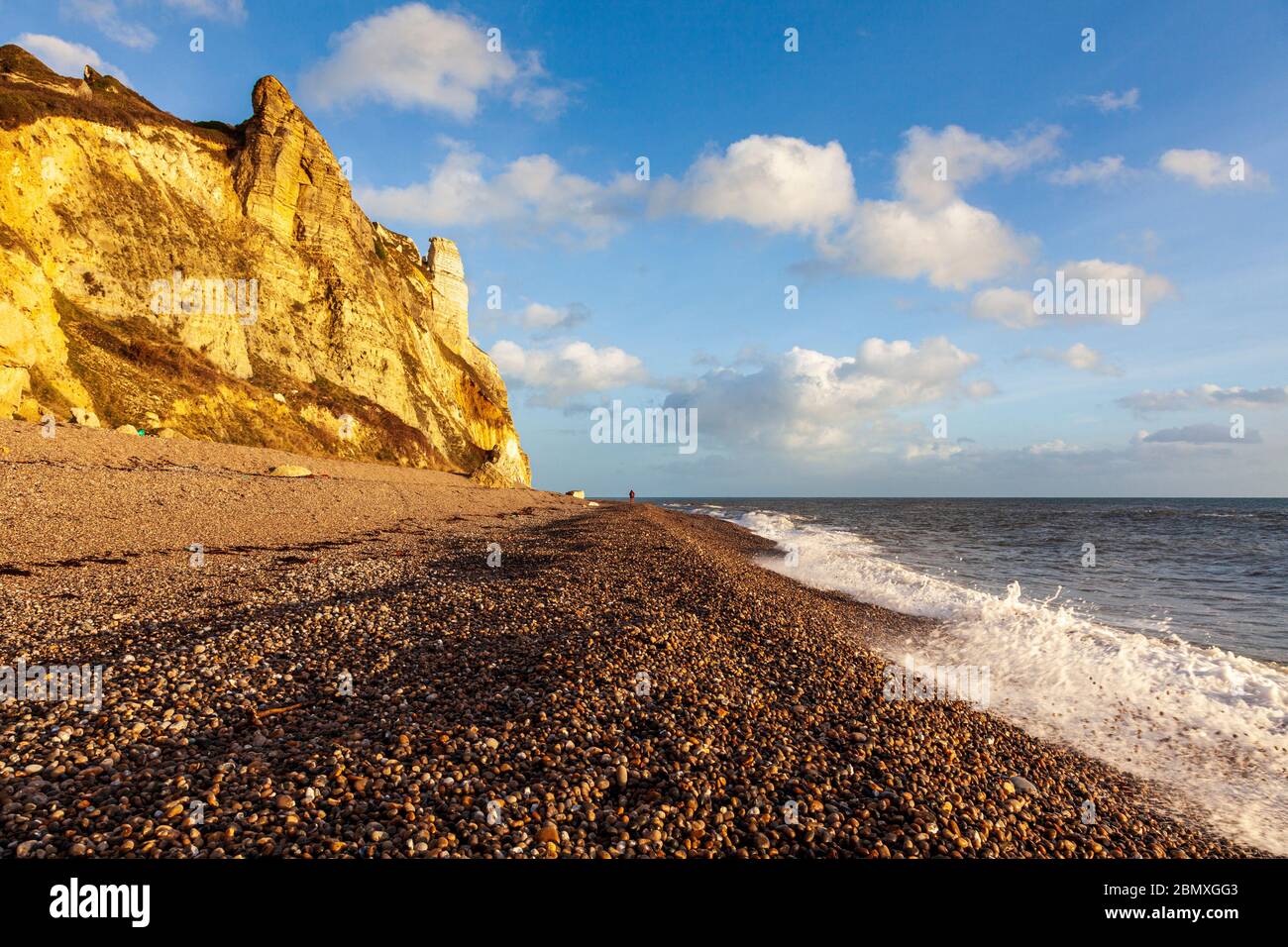 The shingle Hooken beach and landslip on the Jurassic Coast in the late afternoon sun, Devon, England Stock Photo