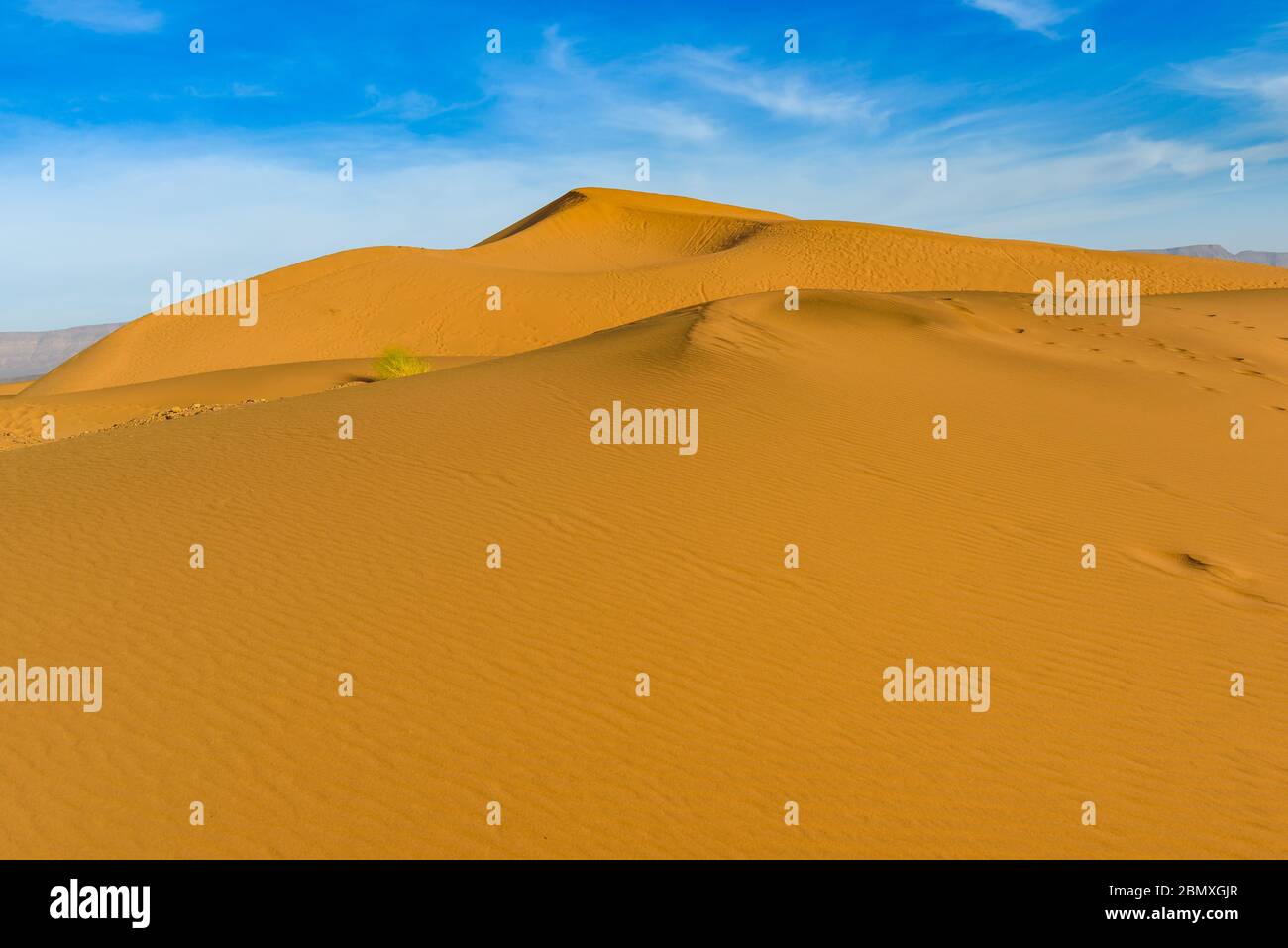 Dunes of Sahara Desert at sunset. Wild nature background. Morocco Stock ...