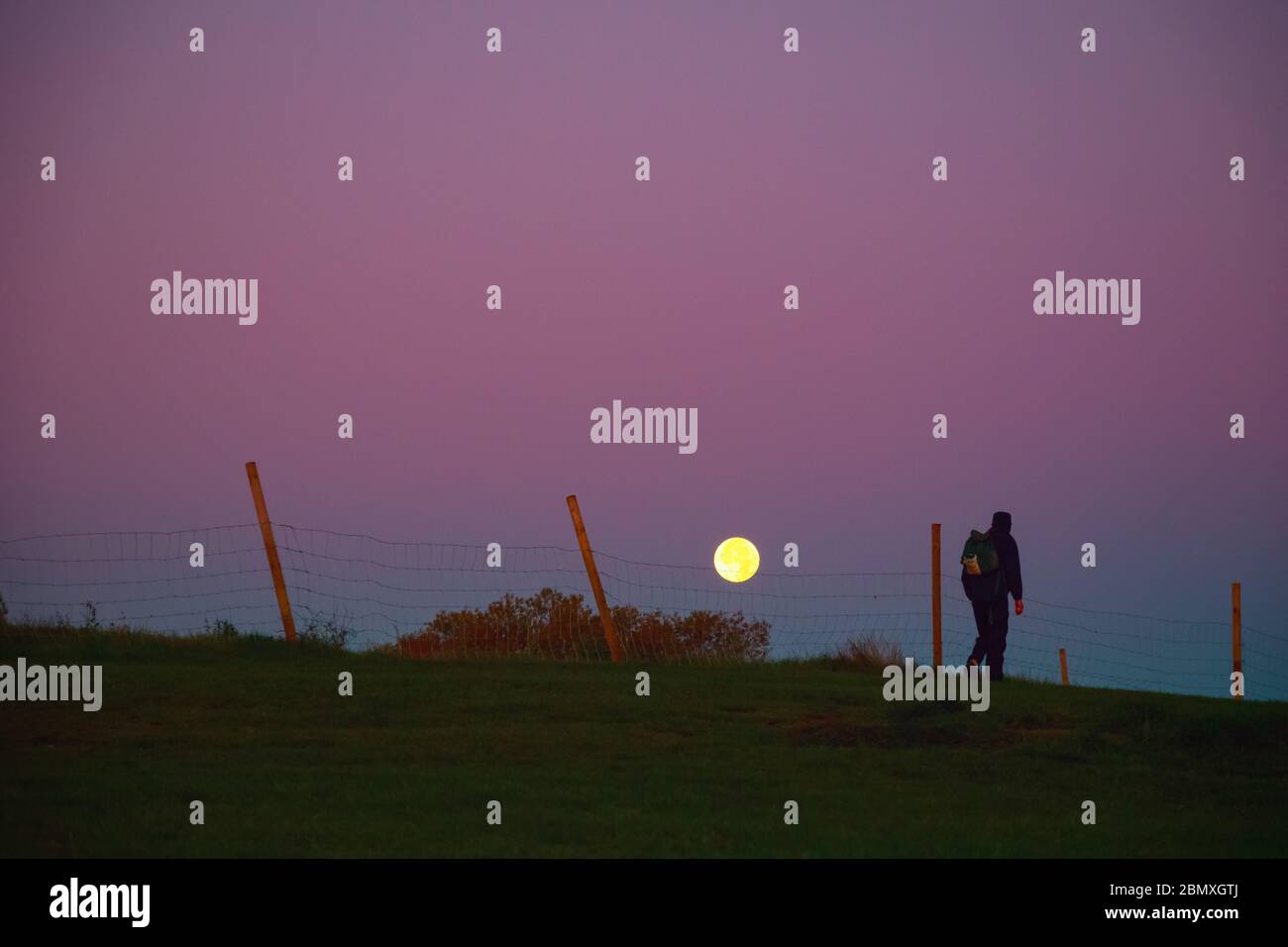 Early morning with moon setting down and a walker on Parliament Hill in Hampstead Heath, London Stock Photo