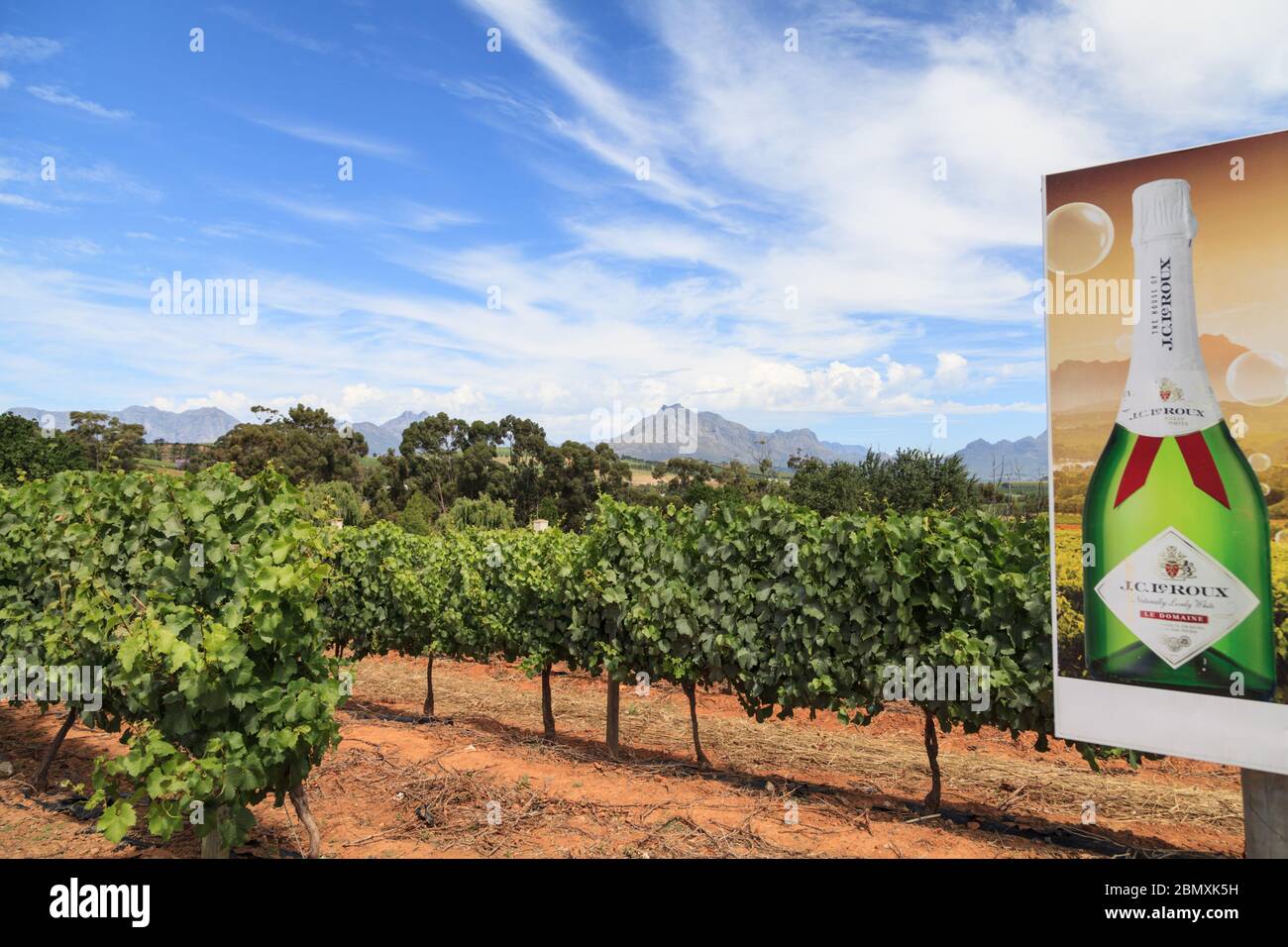 Vineyards and landscape near Franschhoek in the Cape Winelands, Western Cape, South Africa Stock Photo