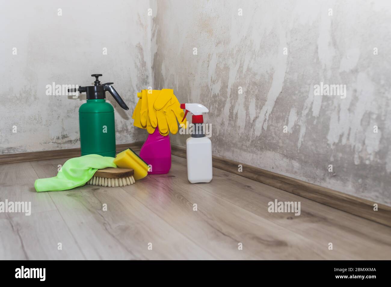 Black mold in the corner of room wall and spray bottle with mildew removal products. Preparation