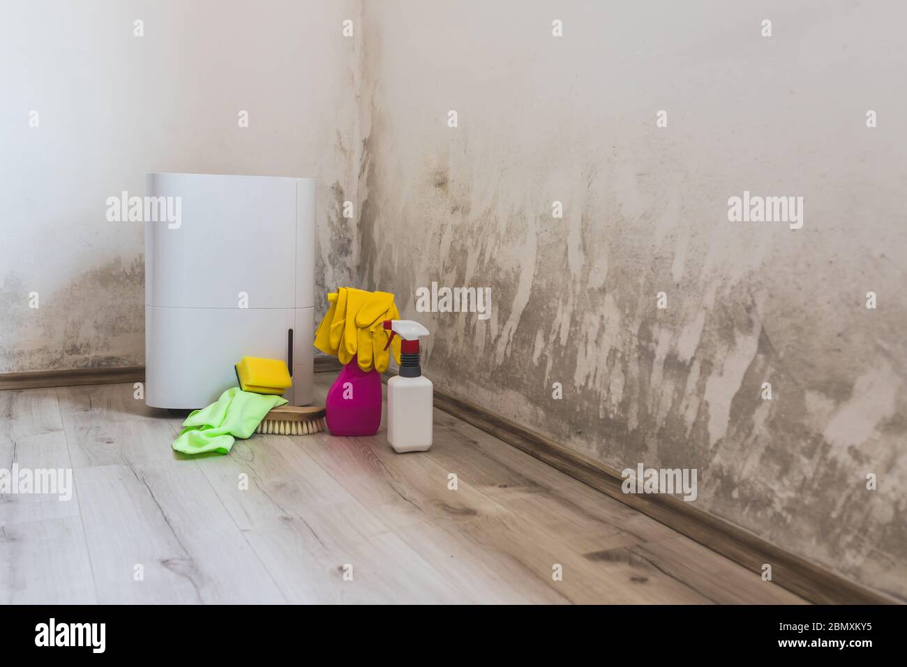 Black mold in the corner of room wall, dehumidifier and spray bottle with mildew removal
