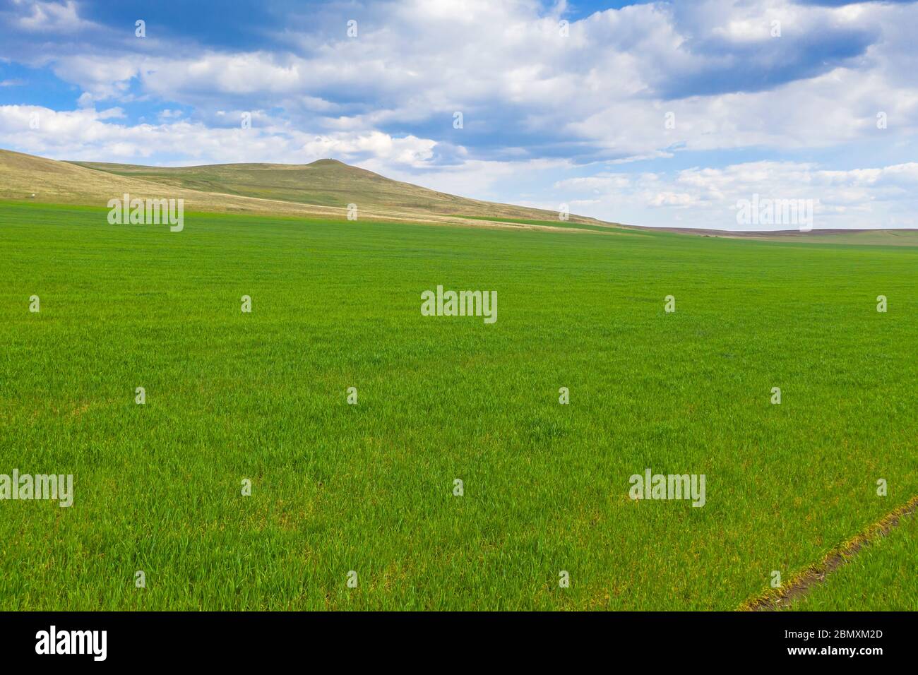 Green field sunny hi-res stock photography and images - Alamy