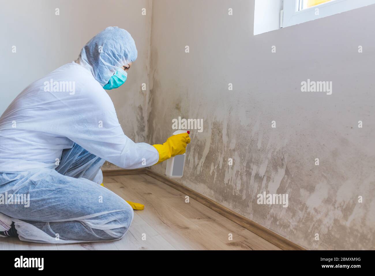 Mold Inspection Process