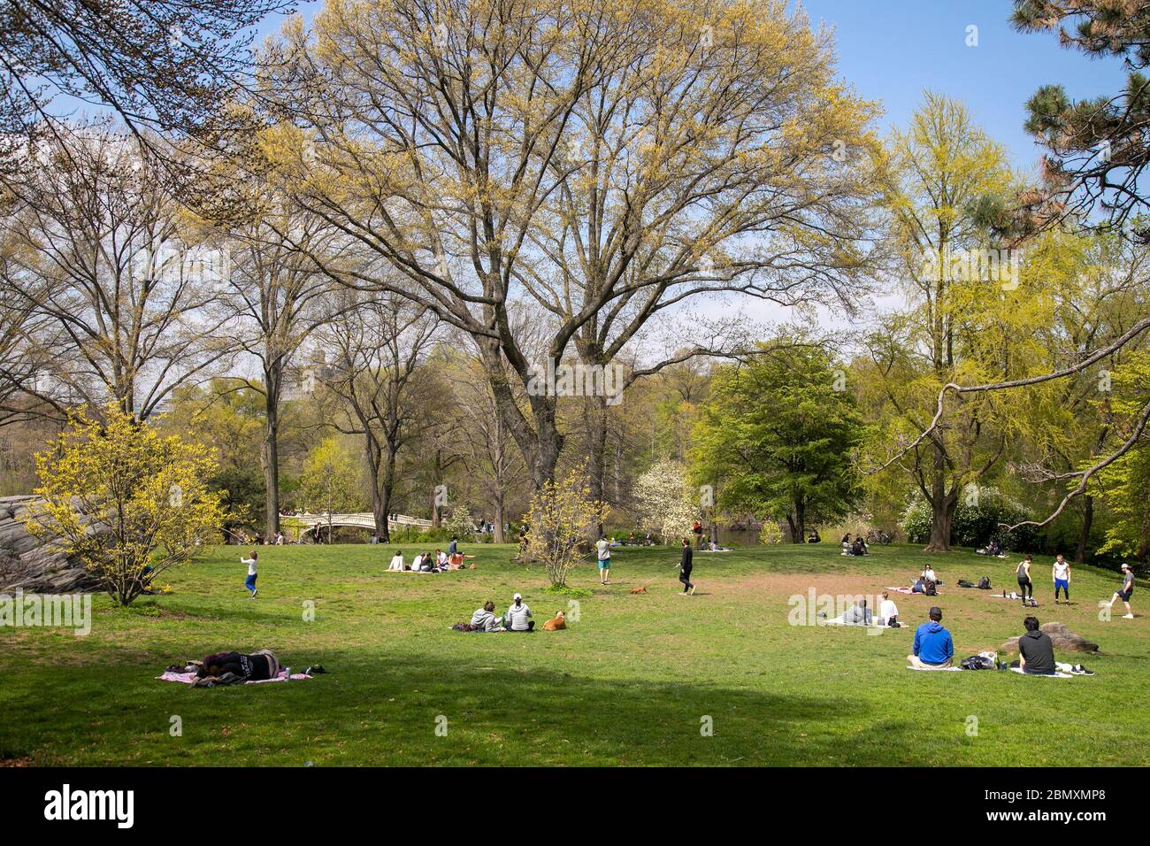 People enjoying spring in Central Park, New York City. Stock Photo