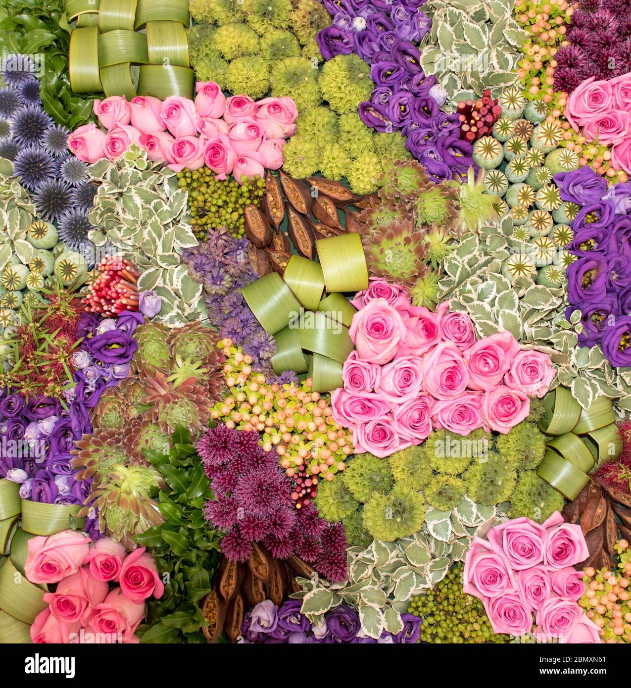 Colourful Flower Collage Colourful flowers ,plants and leaves have been arranged to form a