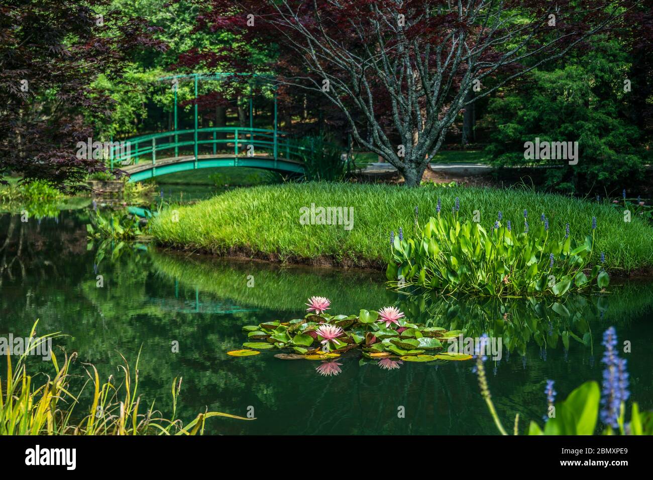 gibbs hires stock photography and images Alamy