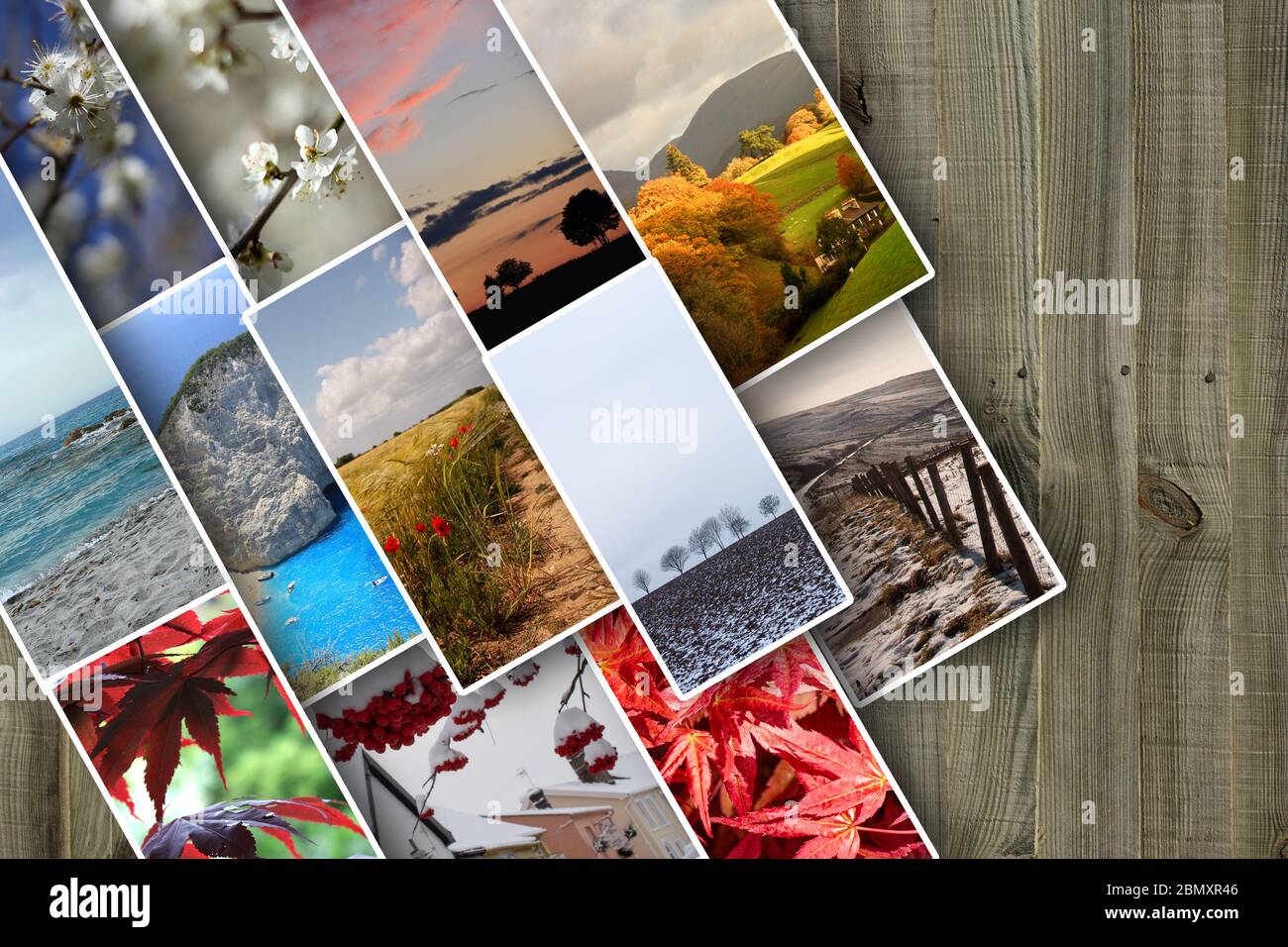 four seasons collage, planet earth life cycle concept Stock Photo