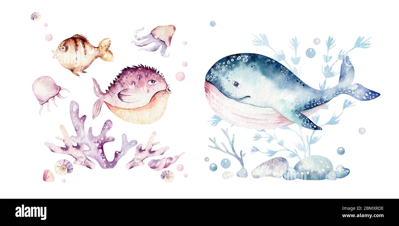 whale set high resolution stock photography and images alamy coloriage humain
