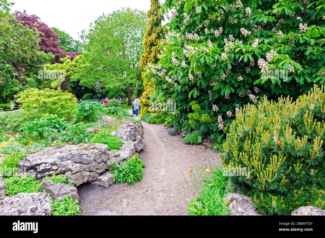 Museum Gardens, York, England Stock Photo Alamy