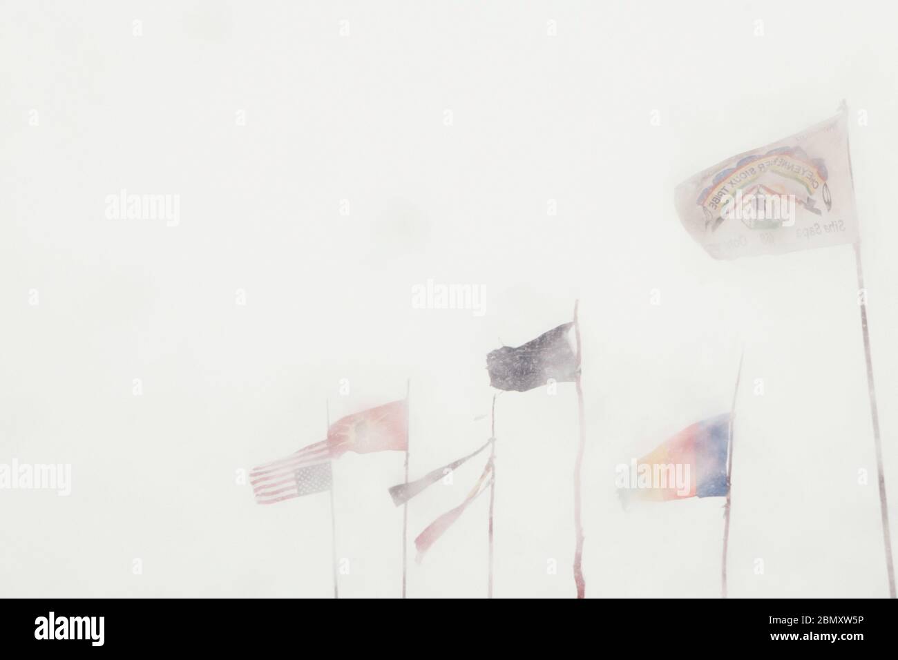White out conditions during a snow storm blizzard Stock Photo