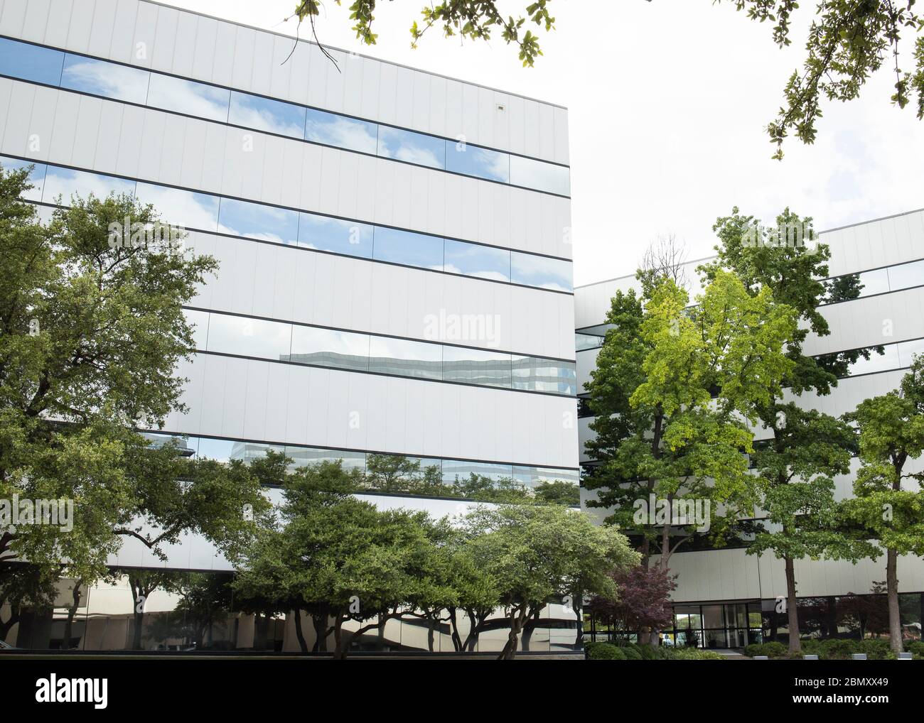 Tall modern Dallas, Texas office tower illustrates a contemporary modern workplace surrounded by trees Stock Photo