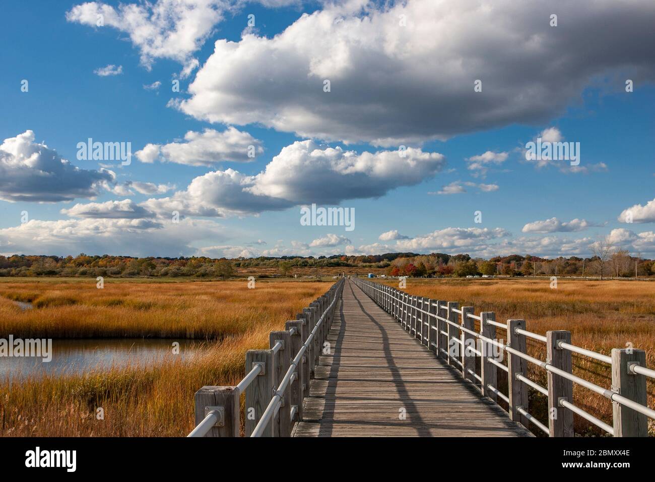 A walkway stretches across a tidal marsh at the Silver Sands State Park in Milford, CT, USA Stock Photo