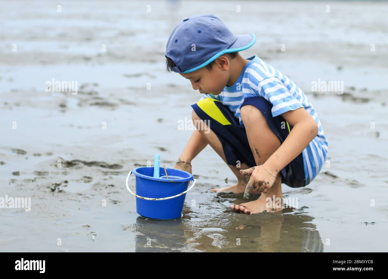 Boys looking for Snail shells on the sea floor mud at Don Hoi lot in Samut songkham , Thailand. Stock Photo