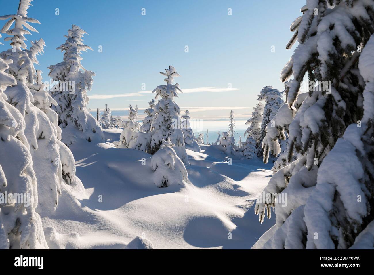 Winterlandschaft Stock Photo