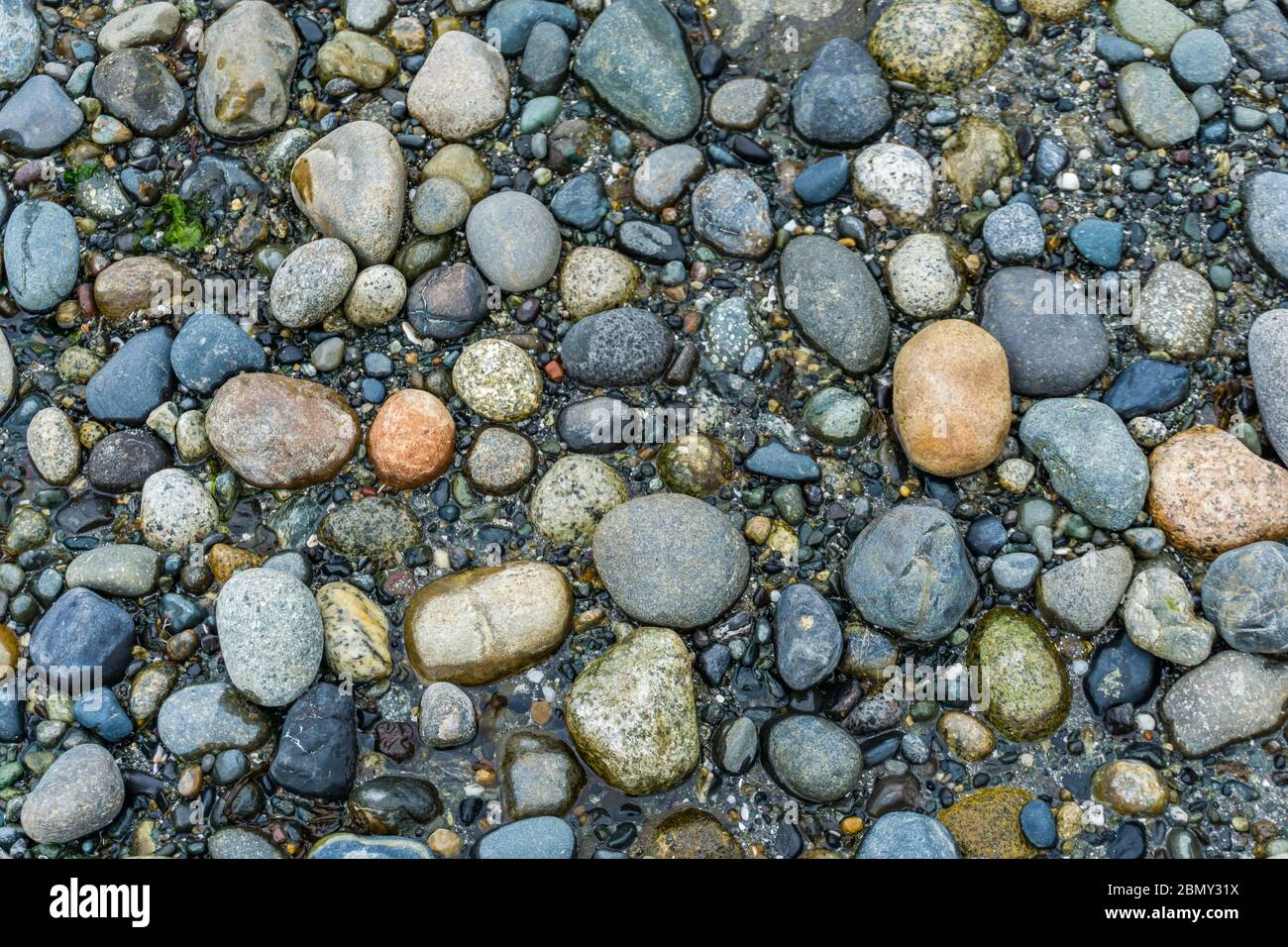 Shoreline details hi-res stock photography and images - Alamy