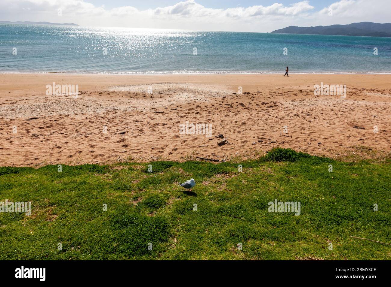 Beach in Cable Bay, New Zealand Stock Photo Alamy